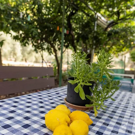 Apartment's Theodoros *