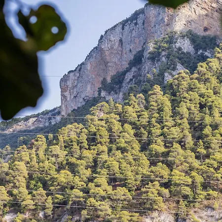 公寓 Apartment's Theodoros 卡梅纳维洛拉